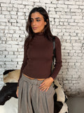Brown Turtleneck Knit Top
