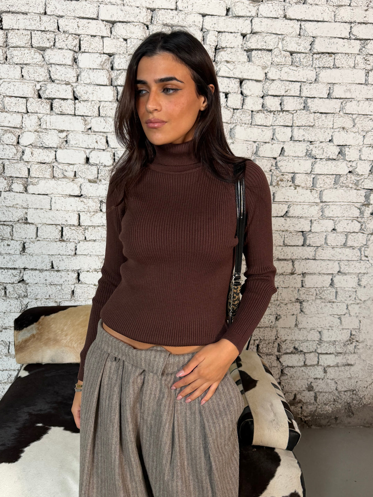Brown Turtleneck Knit Top